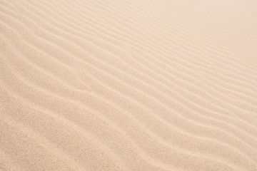 Fototapeta na wymiar Waves on sand dunes in Chaves beach Praia de Chaves in Boavist