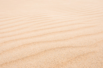 Naklejka na ściany i meble Waves on sand dunes in Chaves beach Praia de Chaves in Boavist