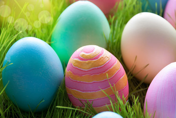 Sunny Easter Eggs Which Are Colorful and Many On Green Grass