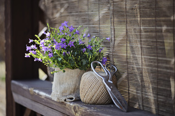 bluebells, twine and scissors in spring garden