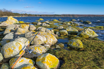 Sea coast fishing scenery