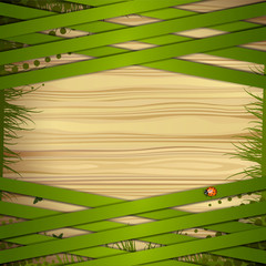 Wood background with green strips