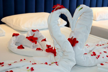 Towels Arranged as Swans on the Bed in Guests Room