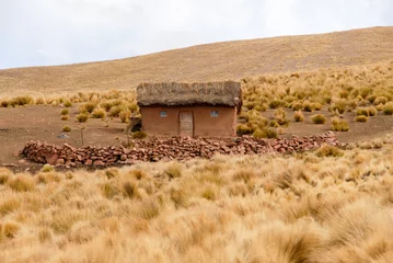 Foto op Aluminium Farm along the Cusco-Puno Road, Peru © demerzel21