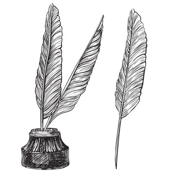 Vector retro inkwell and quill feathers at engraving style.