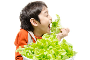 Little boy eating fresh green organic vegetable on white backgro