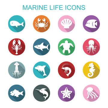 marine life long shadow icons
