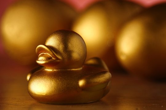 Golden eggs and golden duckling