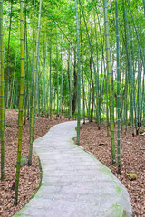 path in the bamboo grove © victor217