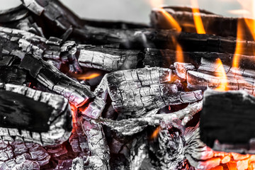 coals as background