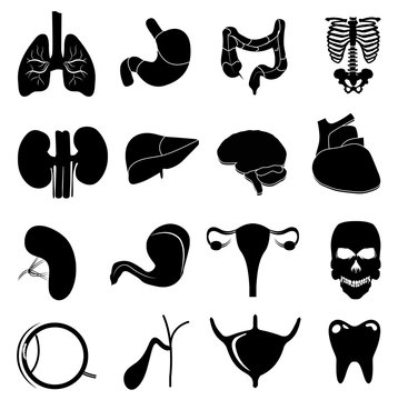 Human internal body parts icons set