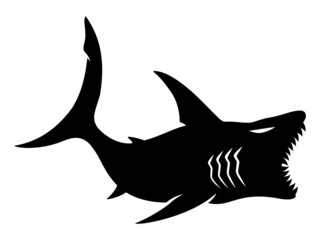 Vector sign. Shark.