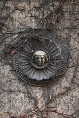 Old mascaron overgrown with climbing plants in Berlin, Germany.