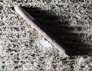 old rusty nail on a blackboard