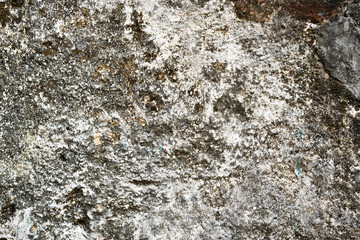 Old wall