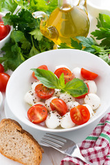fresh salad with mozzarella and cherry tomatoes