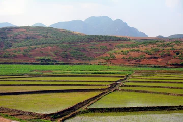 Countryside, North-Korea