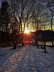 sunset or sunrise behind tree branches during winter season