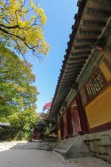 Fototapeta na wymiar Autumn season at Bukgulksa temple yard in Gyeongju Korea