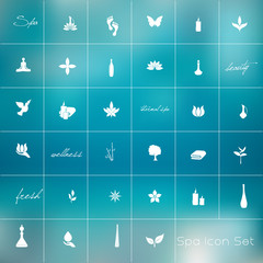 Vector illustration of various spa icons