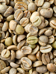 green coffee background
