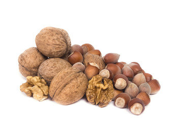 large fruit ripe nuts