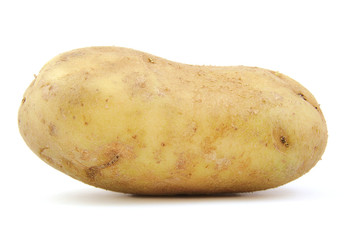 Front view of potato on white background.