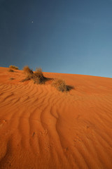 Desert landscape with blue sky, Wahiba Sands, Oman
