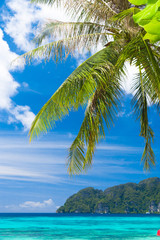 Green View Coconut Getaway