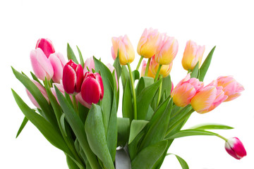 bouquet of    tulip flowers in vase