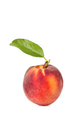 pêche
