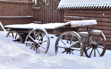 Fototapeta na wymiar cart for the horse stands in the yard