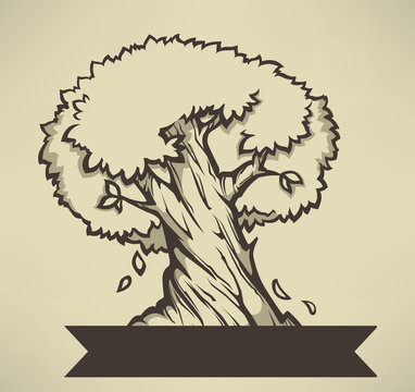 old olive tree, vector illuctration