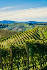 Fototapete Paesaggio autunnale nelle vigne delle Langhe © Giorgio Pulcini