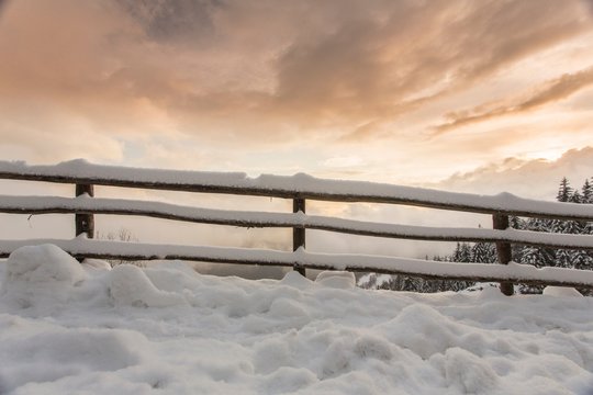 Neve