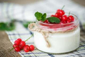 sweet  yogurt with jam and red currant
