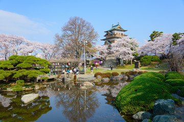 Fototapeta na wymiar Cherry blossoms at the Takashima Park and the Takashima Castle i