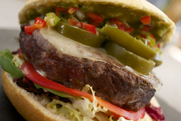 Hamburger