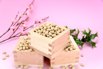 行事 節分 煎り大豆