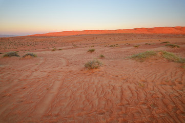 Sand desert landscape, Wahiba Sands, Oman