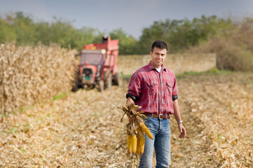 Man on corn field