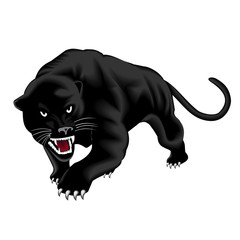 Obraz premium Panther