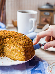 honey cake with cream shortcakes impregnation, sweet dessert