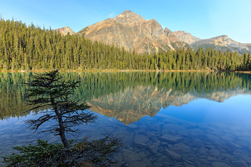 Fototapeta premium Edith Cavell Lake, Alberta