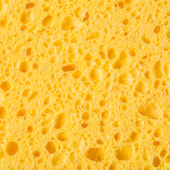 Texture of organic yellow sponge