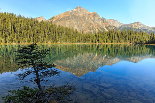 Edith Cavell Lake, Alberta