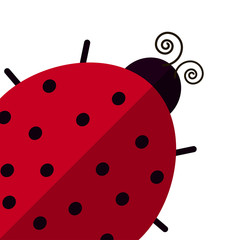 Obraz premium Ladybird isolated vector flat illustration