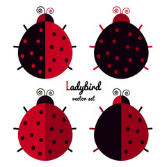 Flat ladybirds set vector illustration