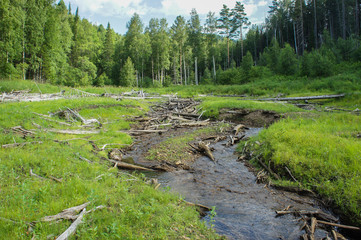 Горная река