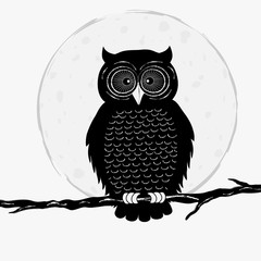 Black owl on branch